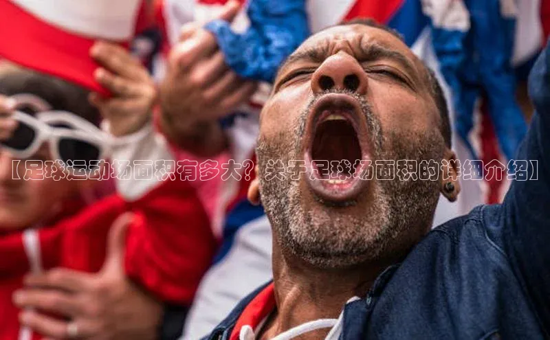 星空手机网页版登录入口壹网壹创【足球运动场面积有多大？关于足球场面积的详细介绍】