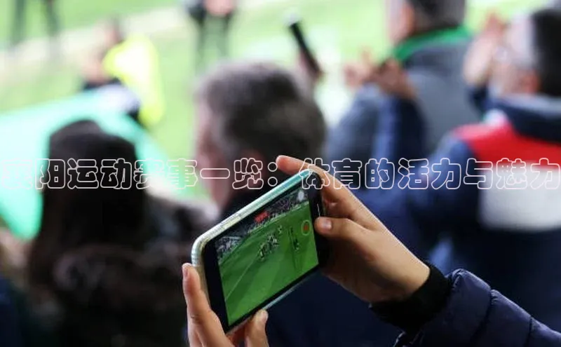 襄阳运动赛事一览：体育的活力与魅力