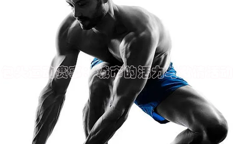 包头运动赛事：城市的活力与激情活动