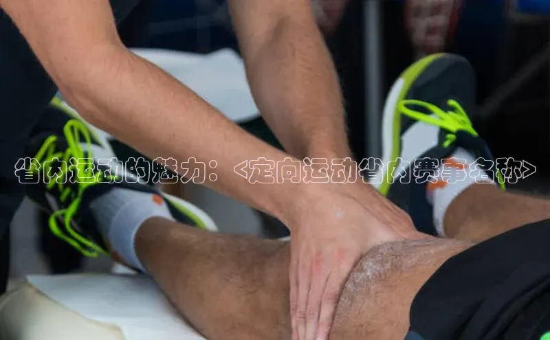 省内运动的魅力：<定向运动省内赛事名称>