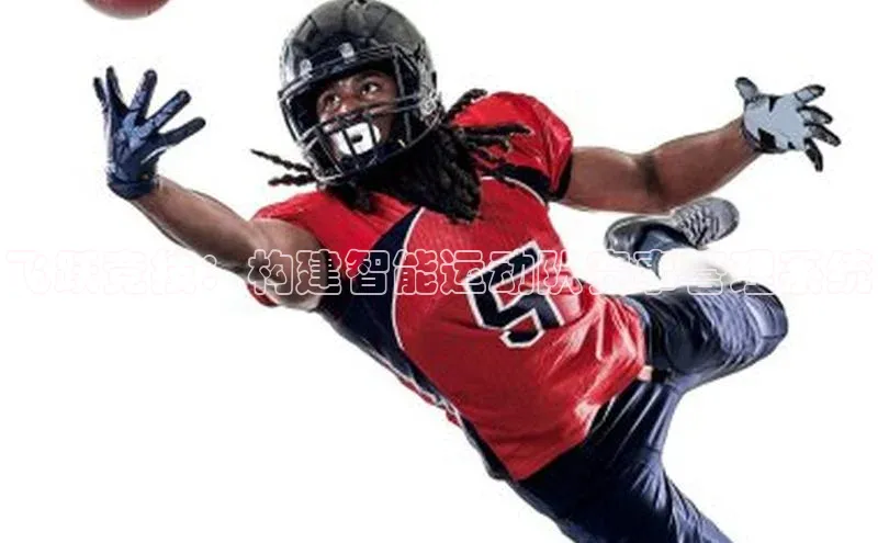 飞跃竞技：构建智能运动队赛事管理系统