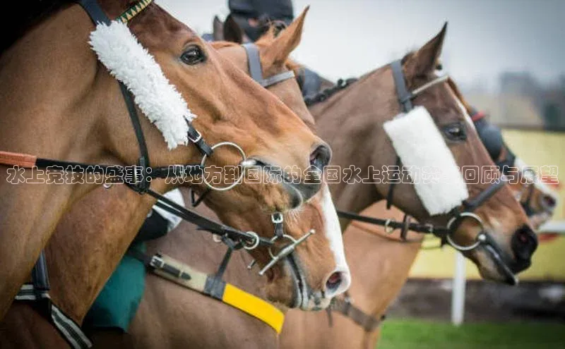 水上竞技的盛事：从地方到国际的全国水上运动赛事回顾与展望