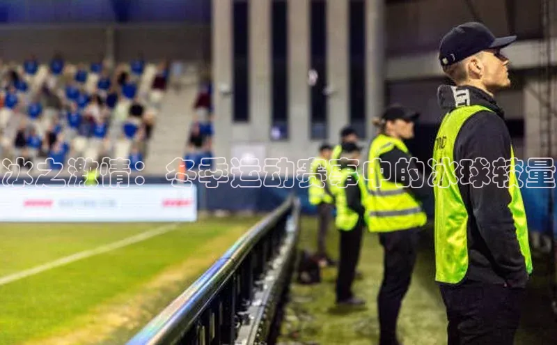 冰之激情：冬季运动赛事中的冰球较量