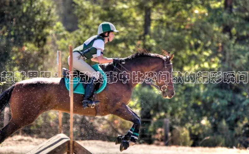 超越界限：运动赛事中比赛间歇的精彩瞬间