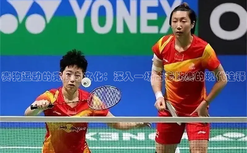 赛狗运动的竞技与文化：深入一场古老比赛的现代诠释