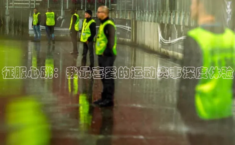 征服心跳：我最喜爱的运动赛事深度体验