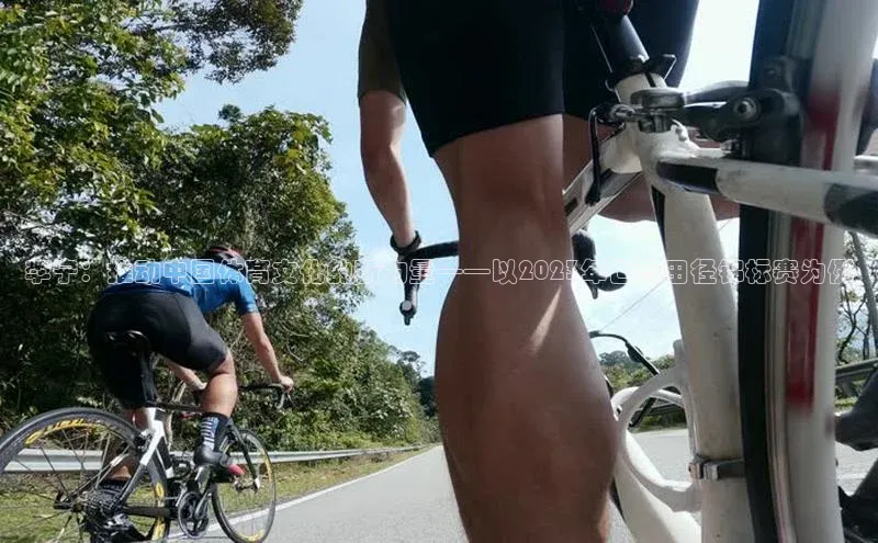 李宁：推动中国体育文化的新力量——以2023年世界田径锦标赛为例