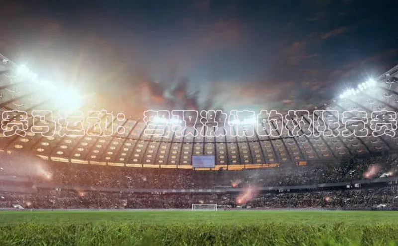 赛马运动：驾驭激情的极限竞赛