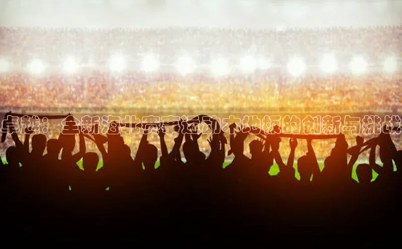 卓越：全新海北赛事运动木地板的创新与挑战