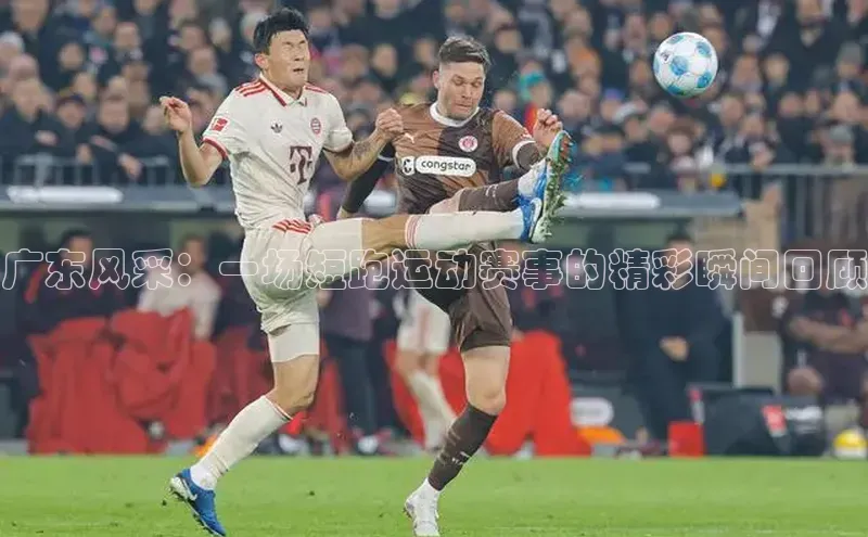 广东风采：一场短跑运动赛事的精彩瞬间回顾