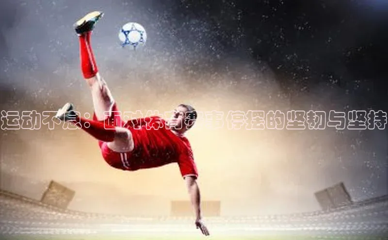 星空体育入口app