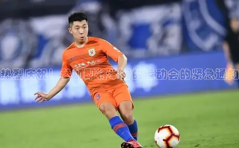 星空综合体育全站app