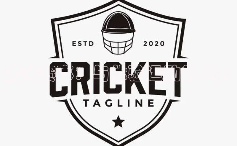 动感赛事：与体验运动的魅力