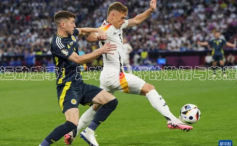 星空综合体育APP下载