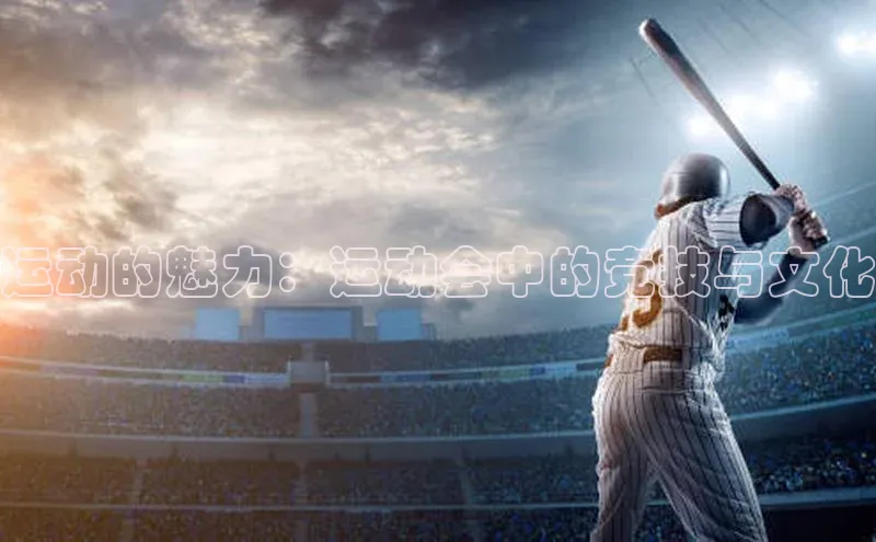 星空体育app官网下载安卓