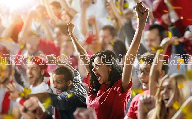 萌宠运动盛会：宠物运动的魅力与乐趣