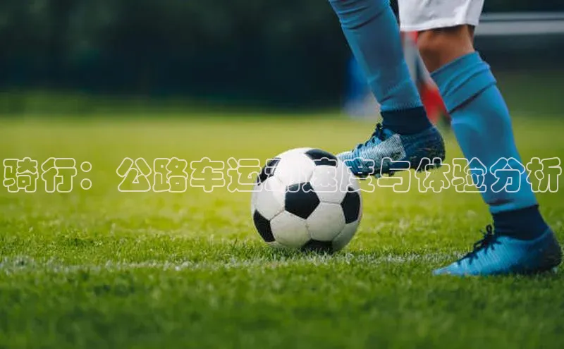 骑行：公路车运动速度与体验分析